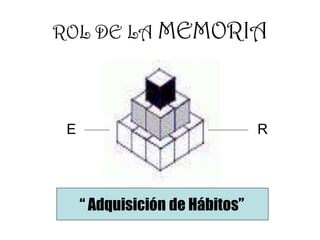 ROL DE LA MEMORIA
E R
“ Adquisición de Hábitos”
 