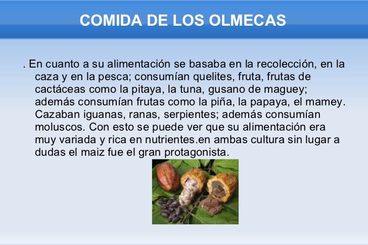 LOS OLMECAS