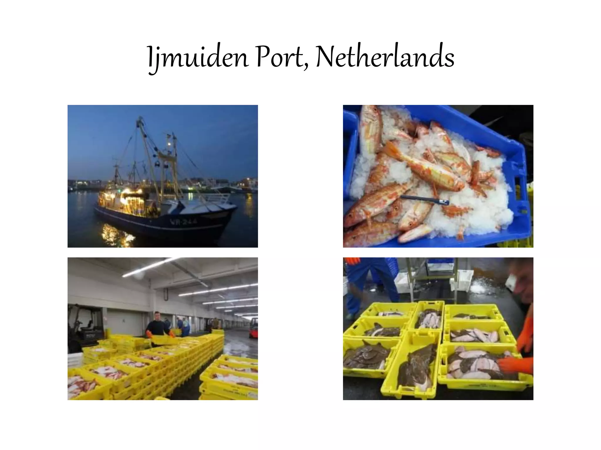 Ijmuiden Port, Netherlands 
 