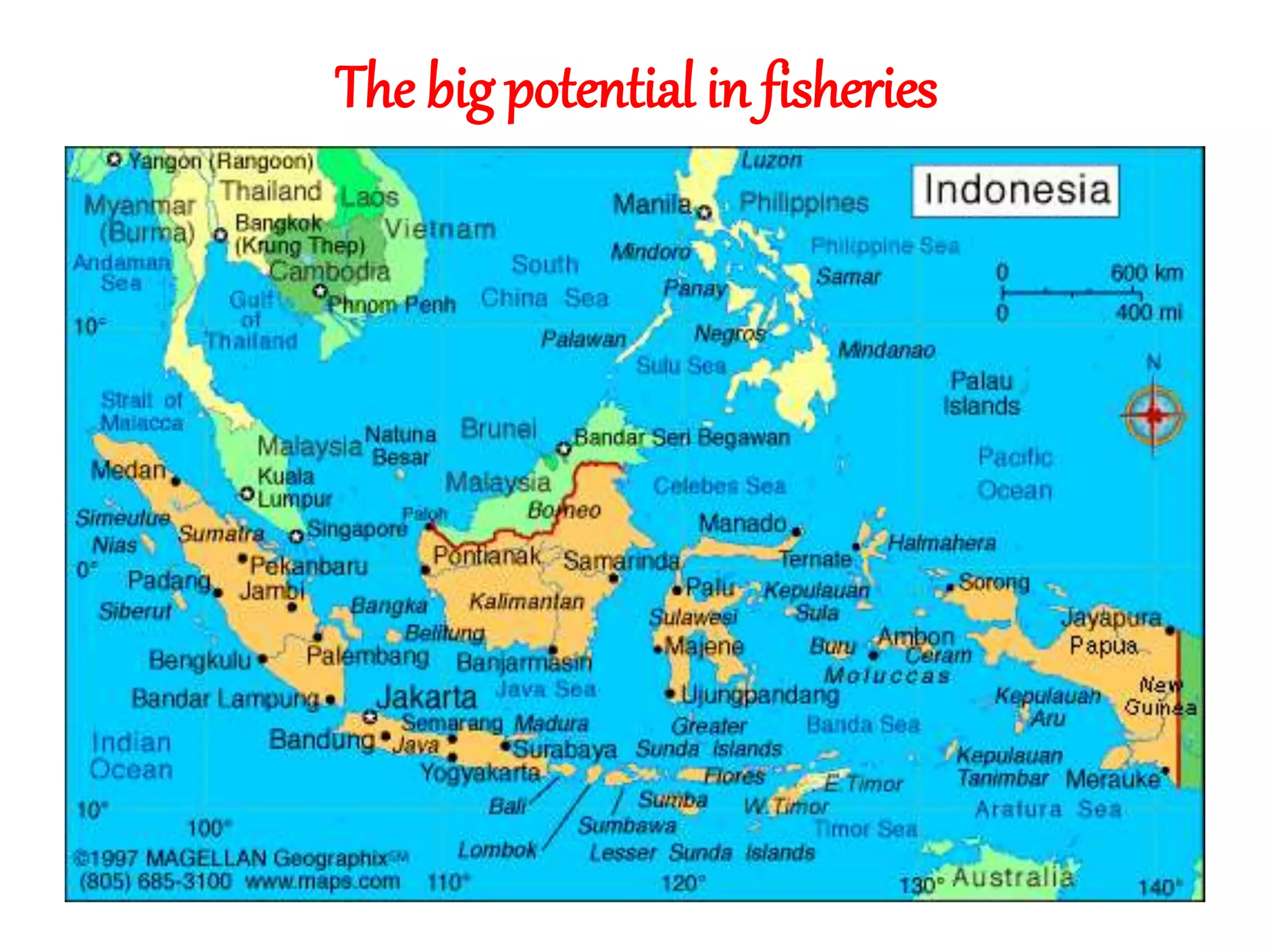 The big potential in fisheries 
 