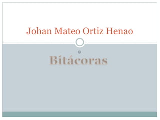 
Johan Mateo Ortiz Henao