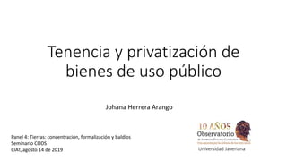 Tenencia y privatización de
bienes de uso público
Johana Herrera Arango
Universidad Javeriana
Panel 4: Tierras: concentración, formalización y baldíos
Seminario CODS
CIAT, agosto 14 de 2019
 