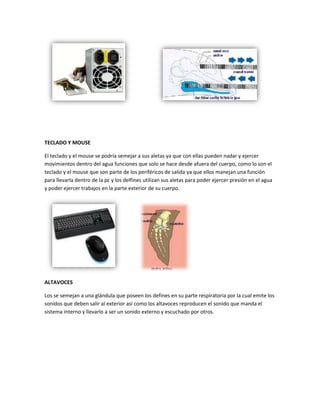 TECLADO Y MOUSE

El teclado y el mouse se podría semejar a sus aletas ya que con ellas pueden nadar y ejercer
movimientos dentro del agua funciones que solo se hace desde afuera del cuerpo, como lo son el
teclado y el mouse que son parte de los periféricos de salida ya que ellos manejan una función
para llevarla dentro de la pc y los delfines utilizan sus aletas para poder ejercer presión en el agua
y poder ejercer trabajos en la parte exterior de su cuerpo.




ALTAVOCES

Los se semejan a una glándula que poseen los defines en su parte respiratoria por la cual emite los
sonidos que deben salir al exterior así como los altavoces reproducen el sonido que manda el
sistema interno y llevarlo a ser un sonido externo y escuchado por otros.
 