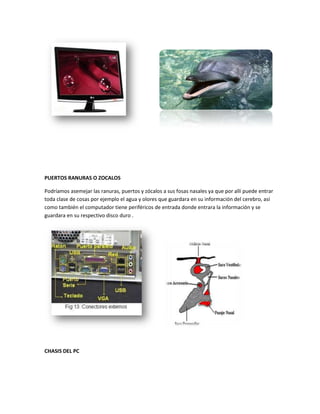 PUERTOS RANURAS O ZOCALOS

Podríamos asemejar las ranuras, puertos y zócalos a sus fosas nasales ya que por allí puede entrar
toda clase de cosas por ejemplo el agua y olores que guardara en su información del cerebro, así
como también el computador tiene periféricos de entrada donde entrara la información y se
guardara en su respectivo disco duro .




CHASIS DEL PC
 
