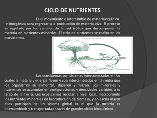 CICLO DE NUTRIENTES
Es el movimiento e intercambio de materia orgánica
e inorgánica para regresar a la producción de materia viva. El proceso
es regulado por los caminos de la red trófica que descomponen la
materia en nutrientes minerales. El ciclo de nutrientes se realiza en los
ecosistemas.
Los ecosistemas son sistemas interconectados en los
cuales la materia y energía fluyen y son intercambiados en la media que
los organismos se alimentan, digieren y migran. Los minerales y
nutrientes se acumulan en configuraciones y densidades variables a lo
largo de la Tierra. Los ecosistemas reciclan a nivel local, incorporando
los nutrientes minerales en la producción de biomasa, y en escala mayor
ellos participan de un sistema global en el que la materia es
intercambiada y transportada a través de grandes ciclos bioquímicos.
 