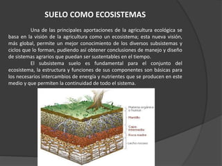 SUELO COMO ECOSISTEMAS
Una de las principales aportaciones de la agricultura ecológica se
basa en la visión de la agricultura como un ecosistema; esta nueva visión,
más global, permite un mejor conocimiento de los diversos subsistemas y
ciclos que lo forman, pudiendo así obtener conclusiones de manejo y diseño
de sistemas agrarios que puedan ser sustentables en el tiempo.
El subsistema suelo es fundamental para el conjunto del
ecosistema, la estructura y funciones de sus componentes son básicas para
los necesarios intercambios de energía y nutrientes que se producen en este
medio y que permiten la continuidad de todo el sistema.
 