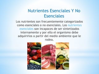Nutrientes Esenciales Y No
Esenciales
Los nutrientes son frecuentemente categorizados
como esenciales o no esenciales. Los nutrientes
esenciales son incapaces de ser sintetizados
internamente y por ello el organismo debe
adquirirlos a partir del medio ambiente que le
rodea.
 