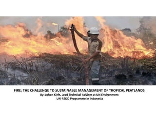 FIRE: THE CHALLENGE TO SUSTAINABLE MANAGEMENT OF TROPICAL PEATLANDS
By: Johan Kieft, Lead Technical Adviser at UN Environment
UN-REDD Programme in Indonesia
 