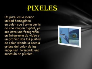 pixeles
Un pixel es la menor
unidad homogénea
en color que forma parte
de una imagen digital, ya
sea esta una fotografía,
un fotograma de video o
un grafico son los puntos
de color siendo la escala
grises del color de las
imágenes formando una
sucesión de píxeles.

 