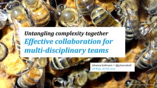 Photo%by%Mar+n%LaBar%h/ps://ﬂic.kr/p/ovHV4t
Untangling(complexity(together(
Effective(collaboration(for(
multi7disciplinary(teams
Johanna&Kollmann ~ @johannakoll
UX&Riga,&26&Feb&2015
 