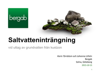 Saltvatteninträngning
vid uttag av grundvatten från kustzon
1
2015-10-13
Karin Törnblom och Johanna Lithén
Bergab
Solna, Göteborg
 
