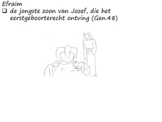 Efraïm
 de jongste zoon van Jozef, die het
eerstgeboorterecht ontving (Gen.48)
 