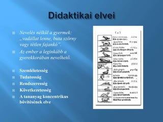  Nevelés nélkül a gyermek:
„vadállat lenne, buta szörny
vagy tétlen fajankó”.
 Az ember a leginkább a
gyerekkorában nevelhető.
 Szemléletesség
 Tudatosság
 Rendszeresség
 Következetesség
 A tananyag koncentrikus
bővítésének elve
 