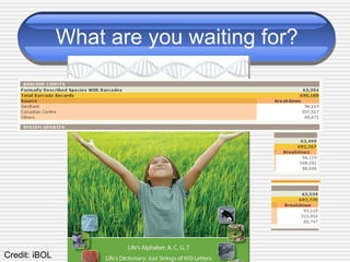 What are you waiting for?
Credit: iBOL
 