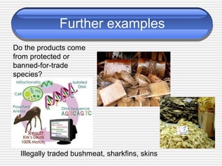 Further examples
Illegally traded bushmeat, sharkfins, skins
Do the products come
from protected or
banned-for-trade
species?
 