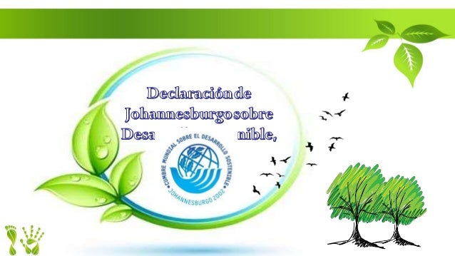 Declaracion Johannesburgo 2002