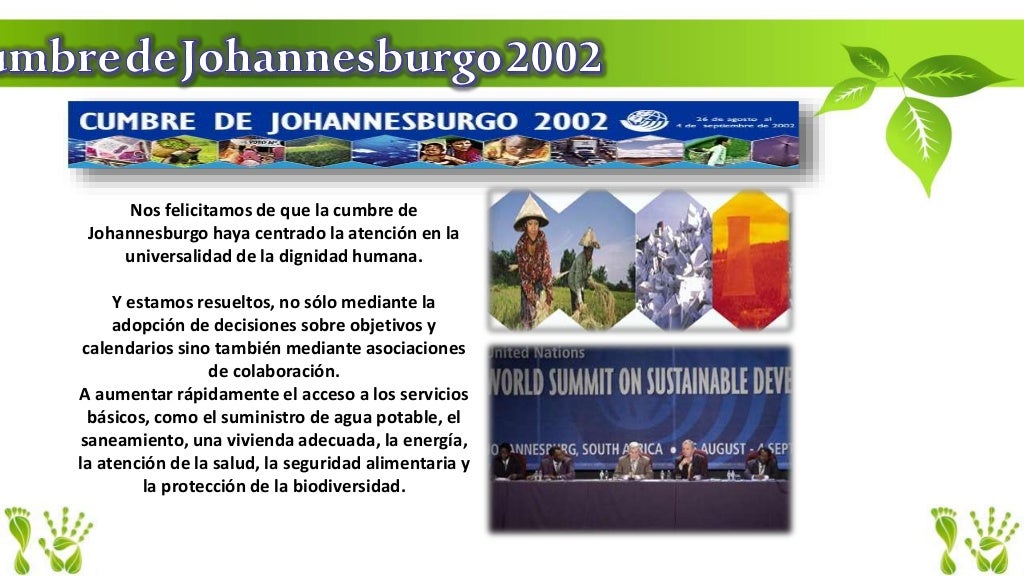 Declaracion Johannesburgo 2002