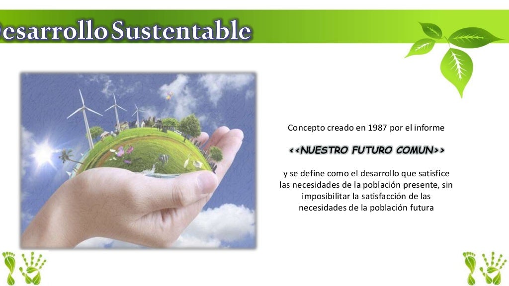 Declaracion Johannesburgo 2002
