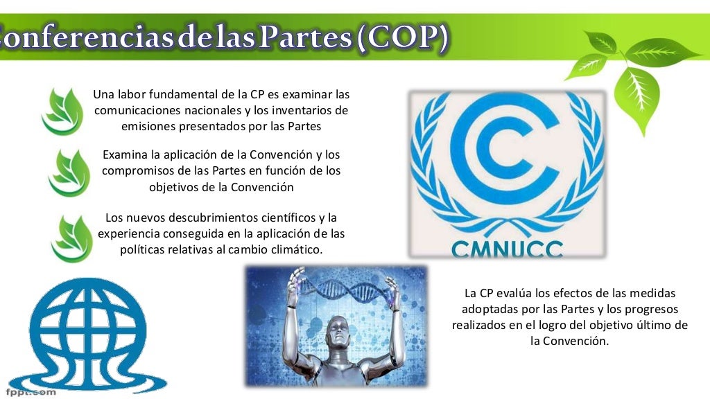 Declaracion Johannesburgo 2002