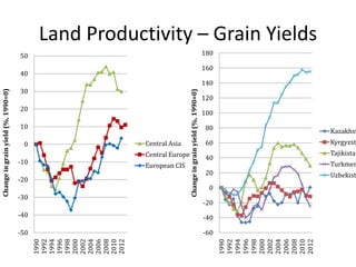 Agricultural Transformation and Food Security in Central Asia