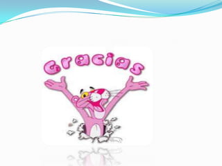 Johaoooooooooooooooooo