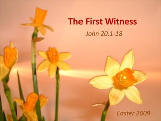 The First Witness John 20:1-18 Easter 2009 