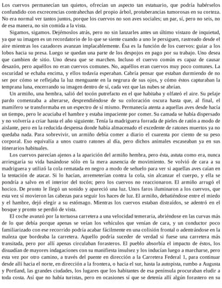 Los cuervos permanecían tan quietos, ofrecían un aspecto tan estatuario, que podría habérselos
confundido con excrecencias contrahechas del propio árbol, protuberancias tumorosas en su corteza.
No era normal ver tantos juntos, porque los cuervos no son aves sociales; un par, sí, pero no seis, no
de esa manera, no sin comida a la vista.
Sigamos, sigamos. Dejémoslos atrás, pero no sin lanzarles antes un último vistazo de inquietud,
ya que su imagen es un recordatorio de lo que se siente cuando a uno le persiguen, rastreado desde el
aire mientras los cazadores avanzan implacablemente. Ésa es la función de los cuervos: guiar a los
lobos hacia su presa. Luego se quedan una parte de los despojos en pago por su trabajo. Uno desea
que cambien de sitio. Uno desea que se marchen. Incluso el cuervo común es capaz de causar
desazón, pero aquéllos no eran cuervos comunes. No, aquéllos eran cuervos muy poco comunes. La
oscuridad se echaba encima, y ellos todavía esperaban. Cabría pensar que estaban durmiendo de no
ser por cómo se reflejaba la luz menguante en la negrura de sus ojos, y cómo éstos capturaban la
temprana luna, encerrando su imagen dentro de sí, cada vez que las nubes se abrían.
Un armiño, una hembra, salió del tocón putrefacto en el que habitaba y olfateó el aire. Su pelaje
pardo comenzaba a alterarse, desprendiéndose de su coloración oscura hasta que, al final, el
mamífero se transformaba en un espectro de sí mismo. Permanecía atenta a aquellas aves desde hacía
un tiempo, pero le acuciaba el hambre y estaba impaciente por comer. Su camada se había dispersado
y no volvería a criar hasta el año siguiente. Tenía la madriguera forrada de pieles de ratón a modo de
aislante, pero en la reducida despensa donde había almacenado el excedente de ratones muertos ya no
quedaba nada. Para sobrevivir, un armiño debía comer a diario el cuarenta por ciento de su peso
corporal. Eso equivalía a unos cuatro ratones al día, pero dichos animales escaseaban ya en sus
itinerarios habituales.
Los cuervos parecían ajenos a la aparición del armiño hembra, pero ésta, astuta como era, nunca
arriesgaría su vida basándose sólo en la mera ausencia de movimiento. Se volvió de cara a su
madriguera y utilizó la cola rematada en negro a modo de señuelo para ver si aquellas aves caían en
la tentación de atacar. Si lo hacían, arremeterían contra la cola, sin alcanzar el cuerpo, y ella se
pondría a salvo en el interior del tocón; pero los cuervos no reaccionaron. El armiño arrugó el
hocico. De pronto le llegó un sonido y apareció una luz. Unos faros iluminaron a los cuervos, que
esta vez sí movieron las cabezas para seguir los haces de luz. El armiño, debatiéndose entre el miedo
y el hambre, dejó elegir a su estómago. Mientras los cuervos estaban distraídos, se adentró en el
bosque y pronto se perdió de vista.
El coche avanzó por la tortuosa carretera a una velocidad temeraria, abriéndose en las curvas más
de lo que debía porque apenas se veían los vehículos que venían de cara, y un conductor poco
familiarizado con ese recorrido podría acabar fácilmente en una colisión frontal o adentrándose en la
maleza que bordeaba la carretera. Aquello podría suceder de verdad si fuese una carretera más
transitada, pero por allí apenas circulaban forasteros. El pueblo absorbía el impacto de éstos, los
disuadían de mayores indagaciones con su manifiesta insulsez y los inducían luego a marcharse, pero
esta vez por otro camino, a través del puente en dirección a la Carretera Federal 1, para continuar
desde allí hacia el norte, en dirección a la frontera, o hacia el sur, hasta la autopista, rumbo a Augusta
y Portland, las grandes ciudades, los lugares que los habitantes de esa península procuraban eludir a
toda costa. Así que no había turistas, pero en ocasiones sí que se detenía allí algún forastero en su
 