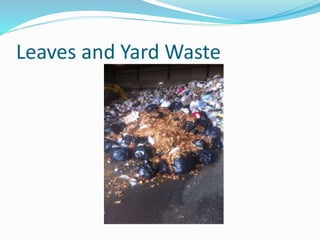 Leaves and Yard Waste
 