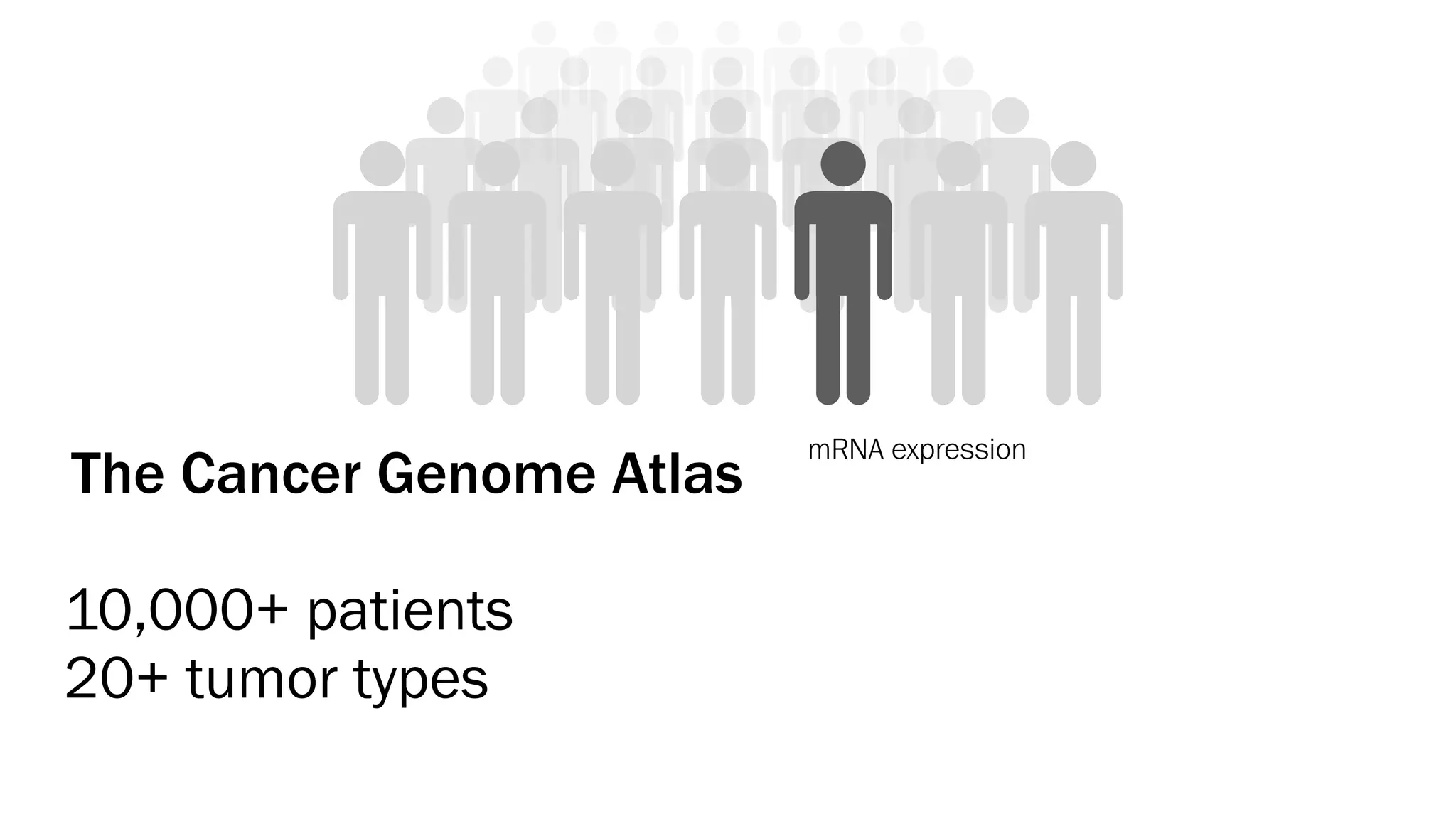 mRNA expression
The Cancer Genome Atlas
10,000+ patients
20+ tumor types
 