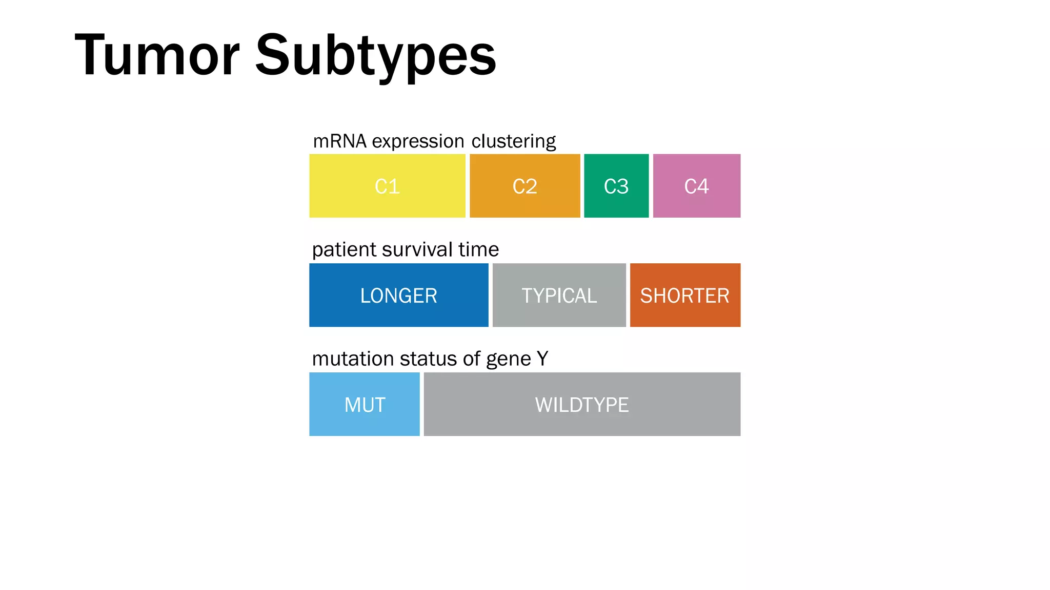 C4C3C2C1
WILDTYPEMUT
patient survival time
mutation status of gene Y
mRNA expression clustering
Tumor Subtypes
LONGER TYPICAL SHORTER
 