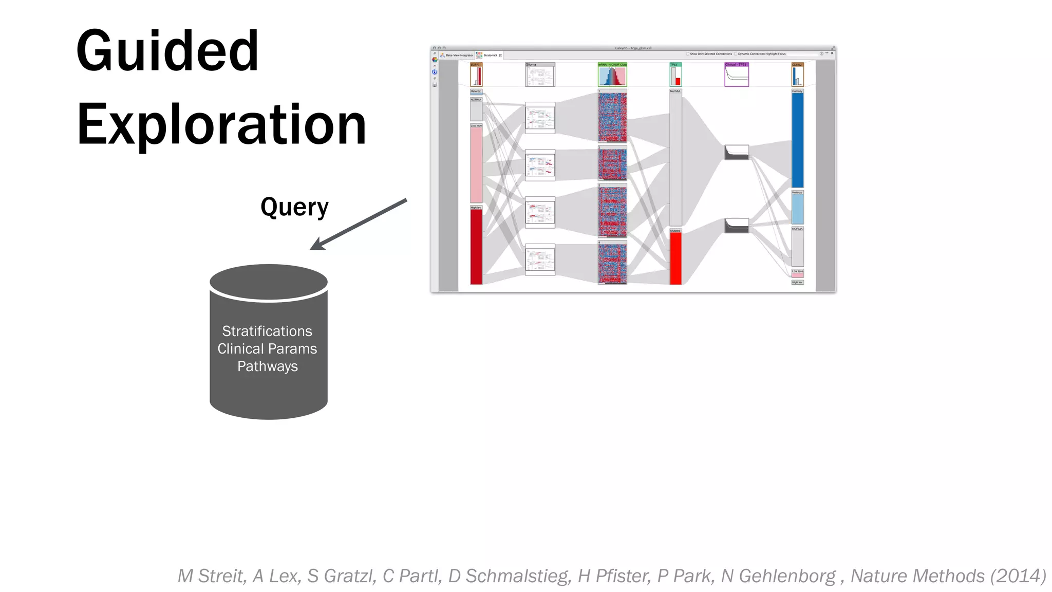 Query
Stratifications
Clinical Params
Pathways
Guided
Exploration
M Streit, A Lex, S Gratzl, C Partl, D Schmalstieg, H Pfister, P Park, N Gehlenborg , Nature Methods (2014)
 