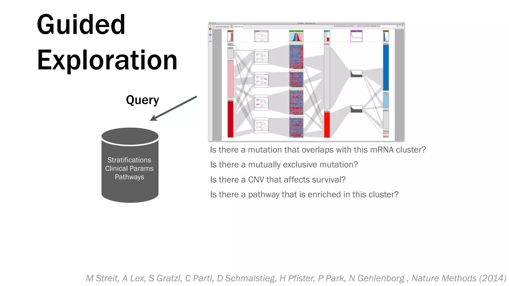 Is there a mutation that overlaps with this mRNA cluster?
Is there a CNV that affects survival?
Is there a pathway that is enriched in this cluster?
Is there a mutually exclusive mutation?
Query
Stratifications
Clinical Params
Pathways
Guided
Exploration
M Streit, A Lex, S Gratzl, C Partl, D Schmalstieg, H Pfister, P Park, N Gehlenborg , Nature Methods (2014)
 