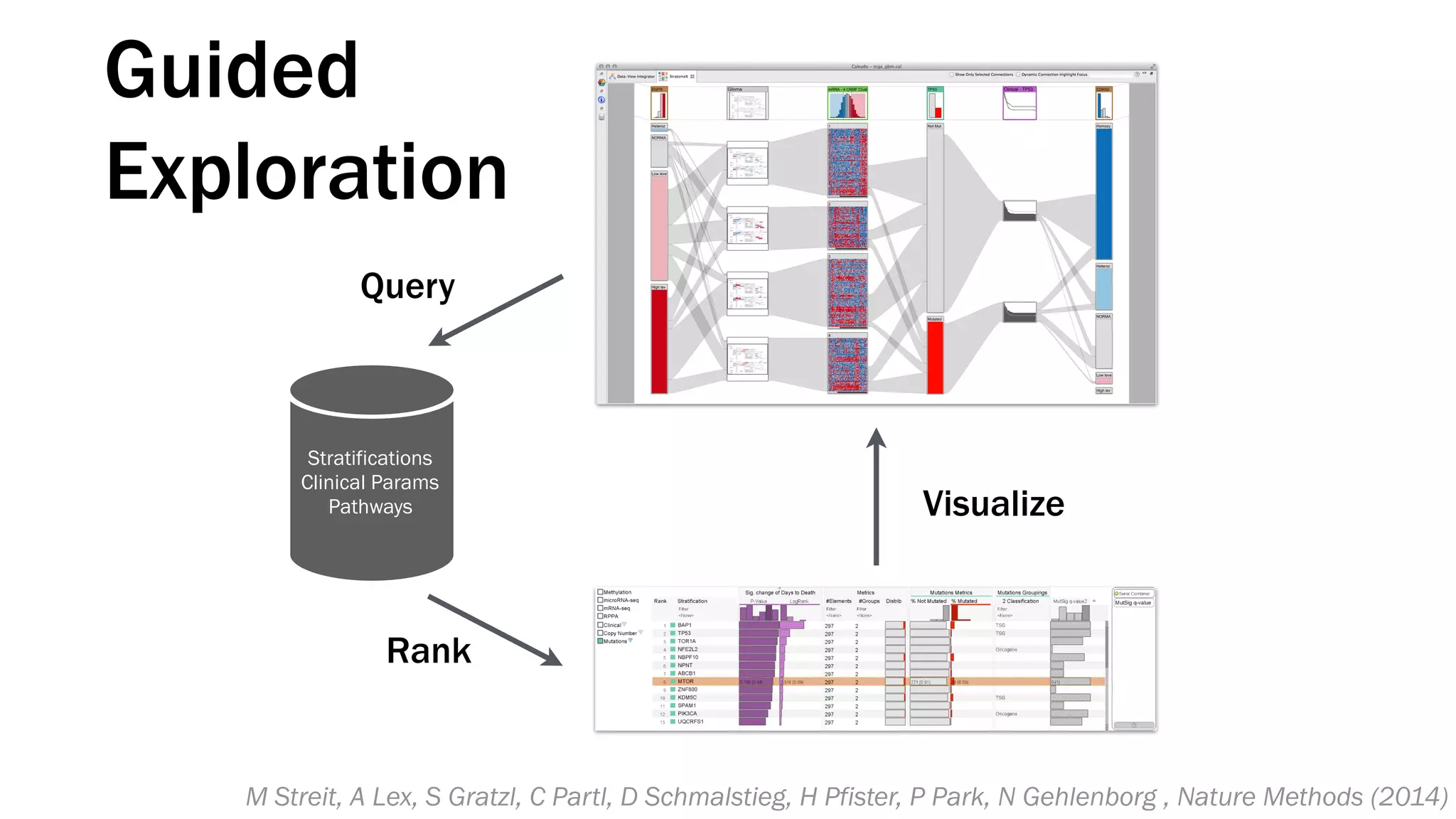 Query
Rank
Visualize
Stratifications
Clinical Params
Pathways
Guided
Exploration
M Streit, A Lex, S Gratzl, C Partl, D Schmalstieg, H Pfister, P Park, N Gehlenborg , Nature Methods (2014)
 