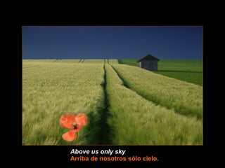 Above us only sky   Arriba de nosotros sólo cielo . 