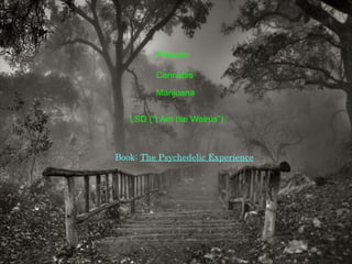 LSD (“I Am the Walrus”) Preludin Cannabis Marijuana Book:  The Psychedelic Experience 