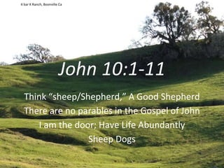 John 10:1-11
Think “sheep/Shepherd,” A Good Shepherd
There are no parables in the Gospel of John
I am the door; Have Life Abundantly
Sheep Dogs
4 bar K Ranch, Boonville Ca
 