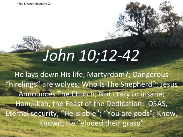 John 10 12 42 Martyr Shepherd Church Crazy Insane Hanukkah Dedi