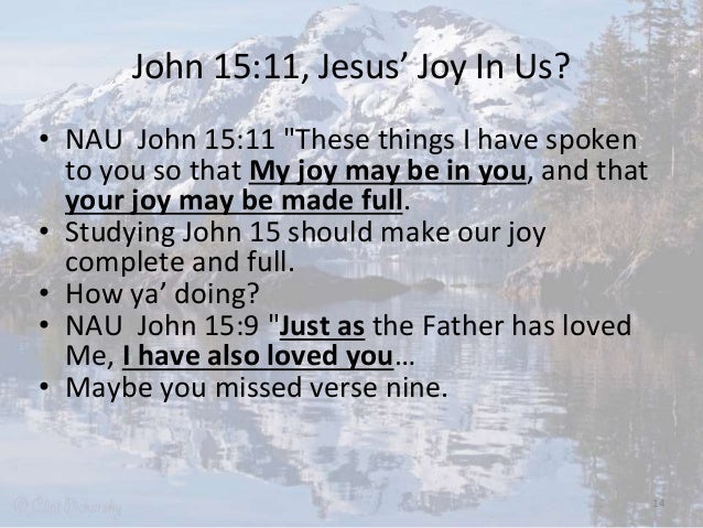 John 15;8-27, Fruit; Rewards; Does God Love Us; If; Lordship Salvatio…