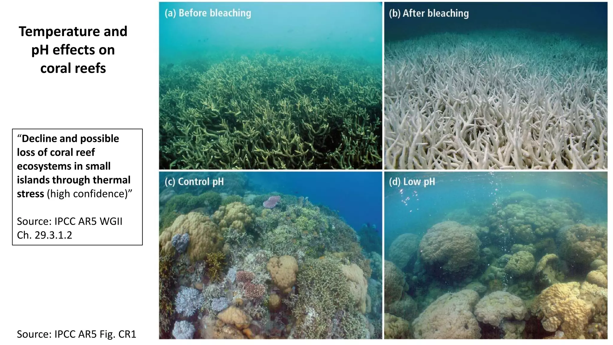 Source: IPCC AR5 Fig. CR1
Temperature and
pH effects on
coral reefs
“Decline and possible
loss of coral reef
ecosystems in small
islands through thermal
stress (high confidence)”
Source: IPCC AR5 WGII
Ch. 29.3.1.2
 