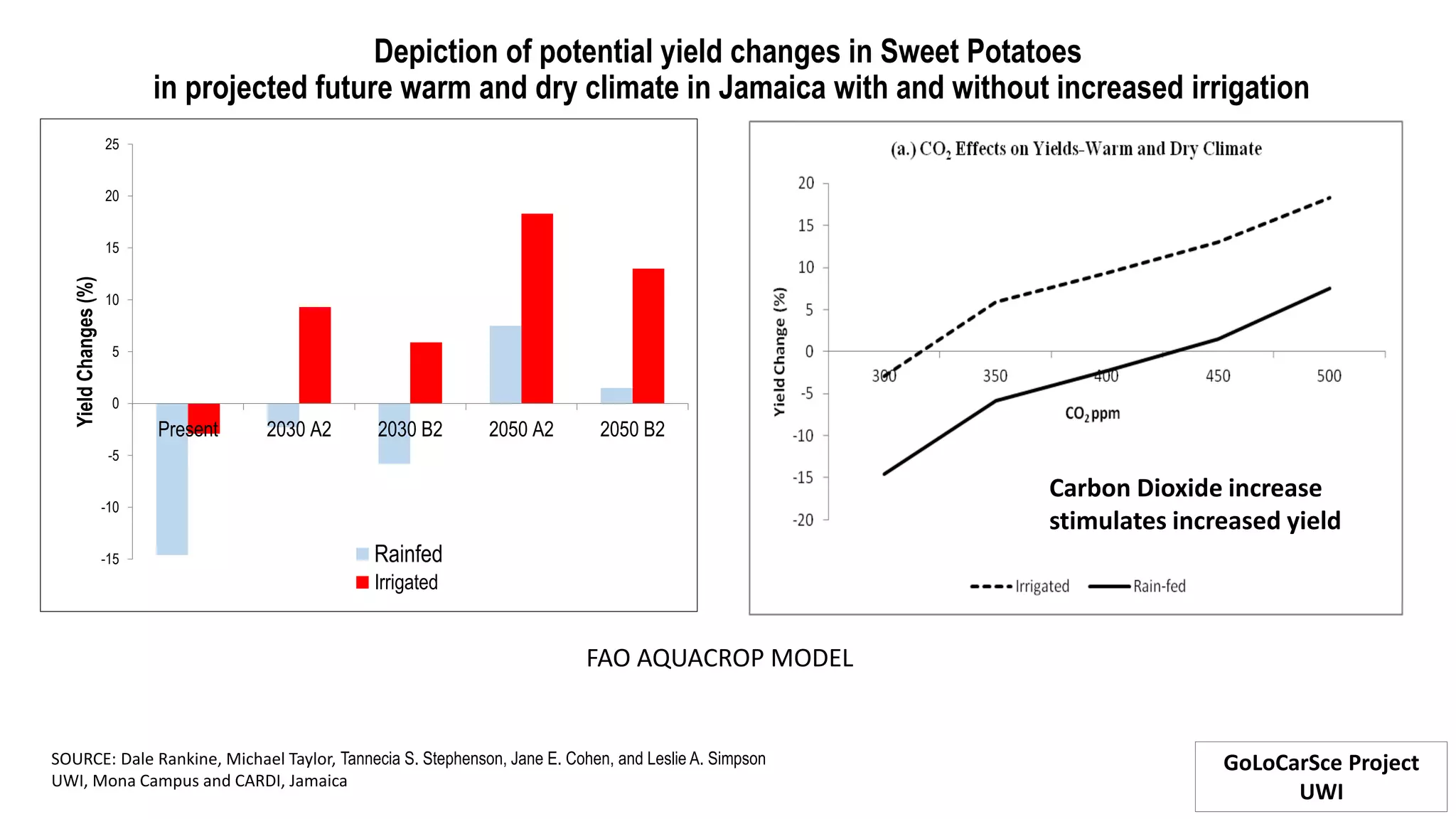 Depiction of potential yield changes in Sweet Potatoes
in projected future warm and dry climate in Jamaica with and without increased irrigation
-15
-10
-5
0
5
10
15
20
25
Present 2030 A2 2030 B2 2050 A2 2050 B2
YieldChanges(%)
Rainfed
Irrigated
Carbon Dioxide increase
stimulates increased yield
SOURCE: Dale Rankine, Michael Taylor, Tannecia S. Stephenson, Jane E. Cohen, and Leslie A. Simpson
UWI, Mona Campus and CARDI, Jamaica
GoLoCarSce Project
UWI
FAO AQUACROP MODEL
 