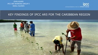 KEY FINDINGS OF IPCC AR5 FOR THE CARIBBEAN REGION
JOHN AGARD
IPCC AR5 WORKING GROUP II
SMALL ISLANDS
 