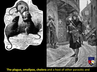 The plague, smallpox, cholera and a host of other parasitic and
 