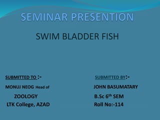SWIM BLADDER FISH
SUBMITTED TO :- SUBMITTED BY:-
MONUJ NEOG Head of JOHN BASUMATARY
ZOOLOGY B.Sc 6th SEM
LTK College, AZAD Roll No:-114
 