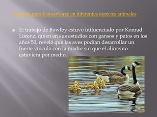 También puede observarse en diferentes especies animales


   El trabajo de Bowlby estuvo influenciado por Konrad
    Lorenz, quien en sus estudios con gansos y patos en los
    años 50, reveló que las aves podían desarrollar un
    fuerte vínculo con la madre sin que el alimento
    estuviera por medio.
 