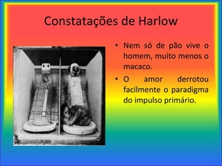 Constatações de Harlow Nem só de pão vive o homem, muito menos o macaco. O amor derrotou facilmente o paradigma do impulso primário. 