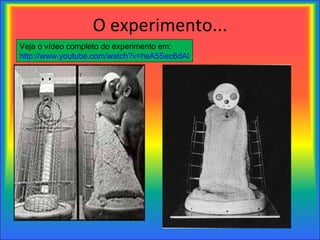 O experimento... Veja o vídeo completo do experimento em:  http://www.youtube.com/watch?v=hsA5Sec6dAI   