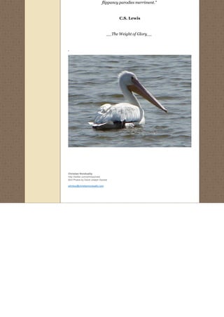 Johnboy musings part1a