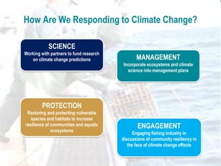 How Are We Responding to Climate Change?
SCIENCE
Working with partners to fund research
on climate change predictions MANAGEMENT
Incorporate ecosystems and climate
science into management plans
PROTECTION
Restoring and protecting vulnerable
species and habitats to increase
resilience of communities and aquatic
ecosystems
ENGAGEMENT
Engaging fishing industry in
discussions of community resiliency in
the face of climate change effects
 
