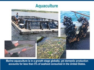 Marine aquaculture is in a growth stage globally, yet domestic production
accounts for less than 5% of seafood consumed in the United States.
Aquaculture
 
