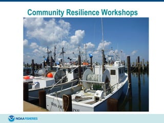 Community Resilience Workshops
 